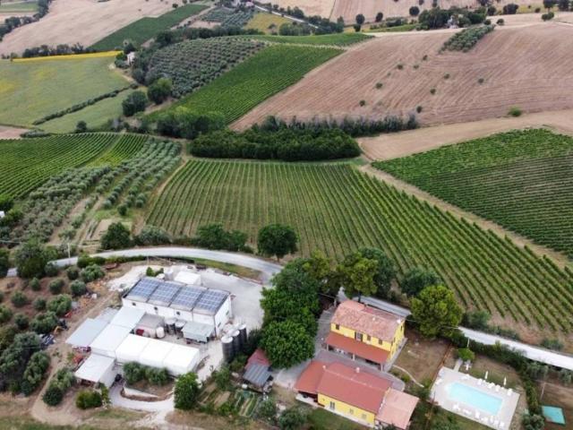 Terreno in vendita a Marche, Ancona