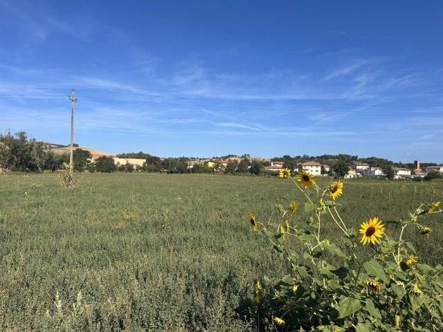 Terreno in vendita a Marche, Ancona