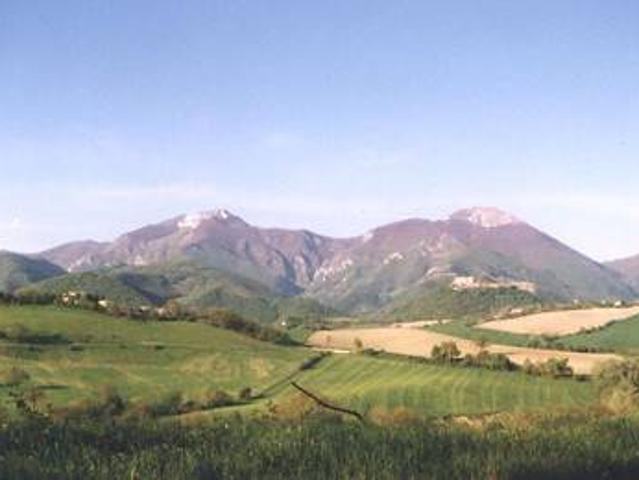 Terreno in vendita a Marche, Ancona