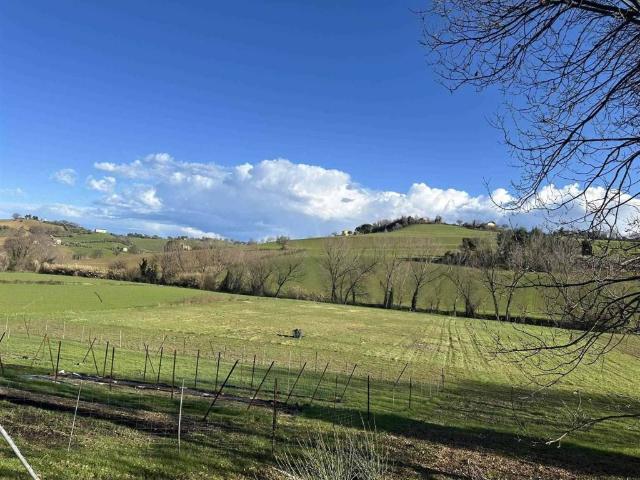 Terreno in vendita a Marche, Ancona