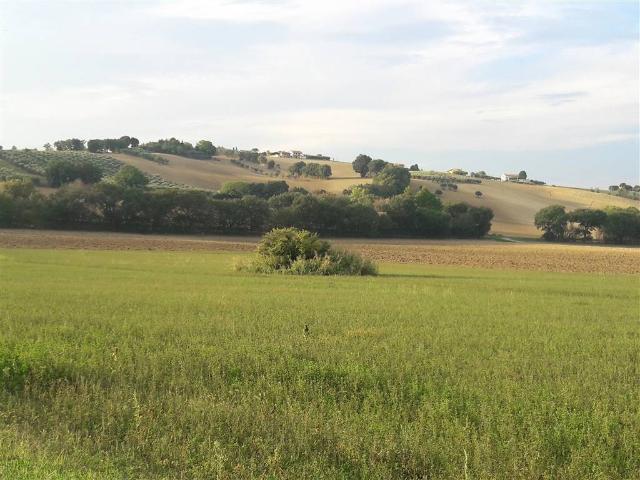 Terreno in vendita a Marche, Ancona