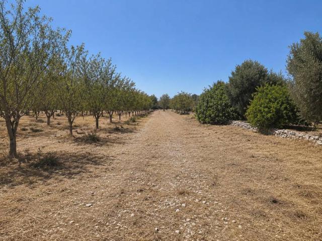 Terreno in vendita a Puglia, Brindisi