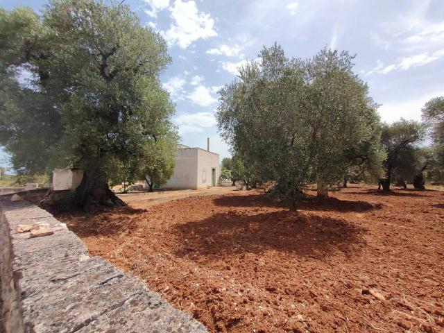 Terreno in vendita a Puglia, Brindisi
