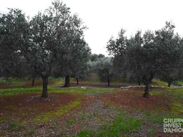 Terreno in vendita a Puglia, Brindisi