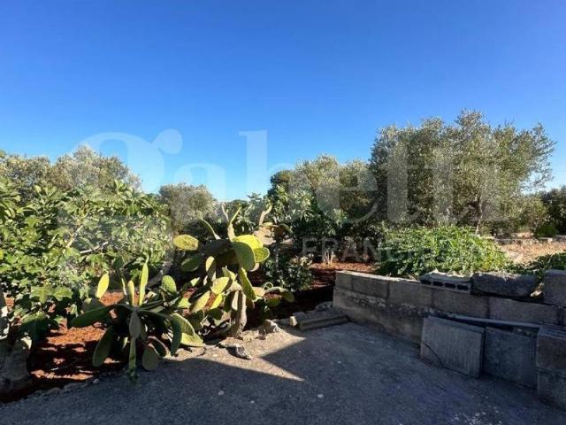 Terreno in vendita a Puglia, Brindisi