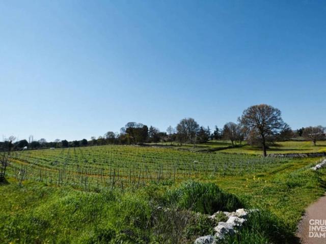 Terreno in vendita a Puglia, Brindisi