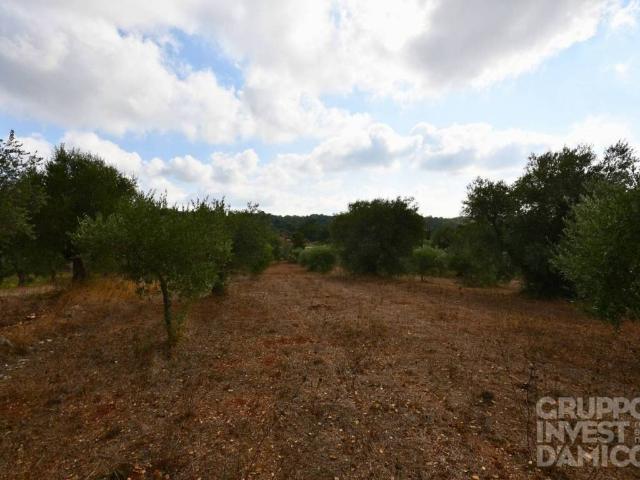 Terreno in vendita a Puglia, Brindisi