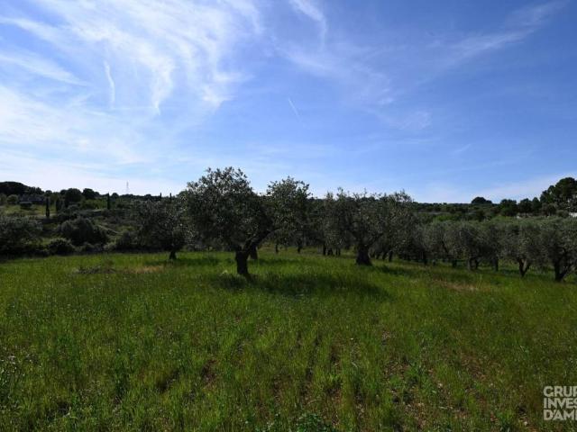 Terreno in vendita a Puglia, Brindisi