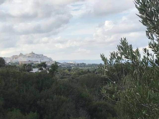Terreno in vendita a Ostuni, Brindisi