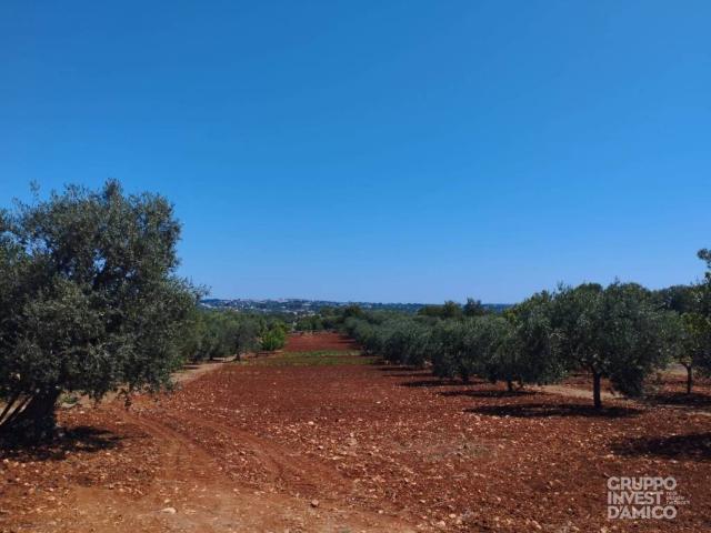 Terreno in vendita a Ostuni, Brindisi