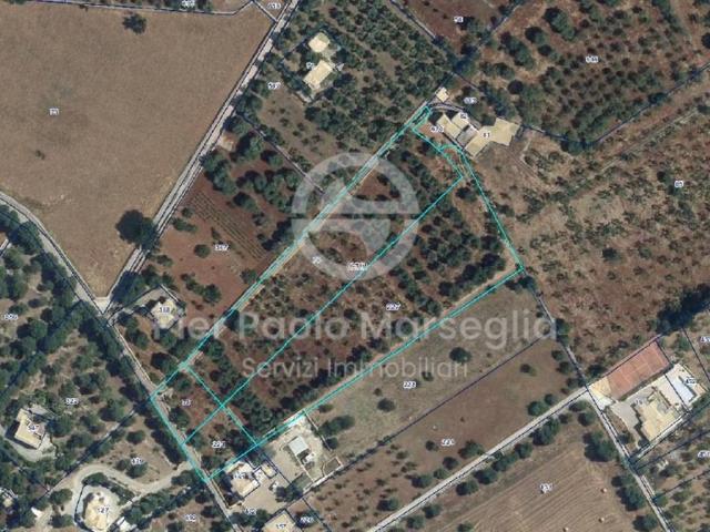 Terreno in vendita a Ostuni, Brindisi