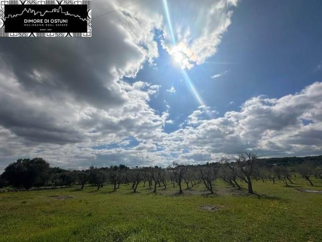 Terreno in vendita a Puglia, Brindisi