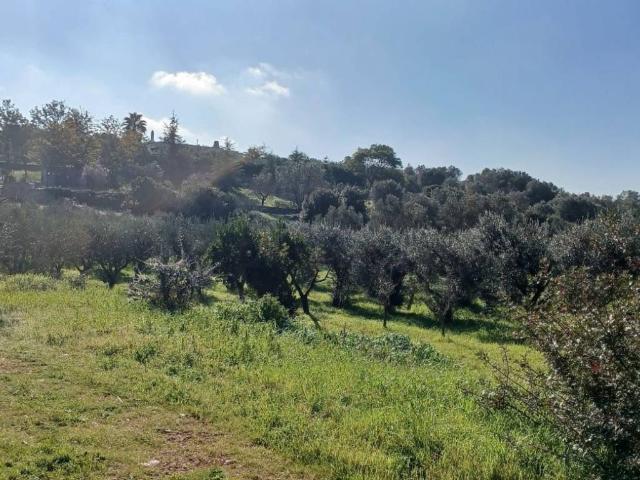 Terreno in vendita a Puglia, Brindisi