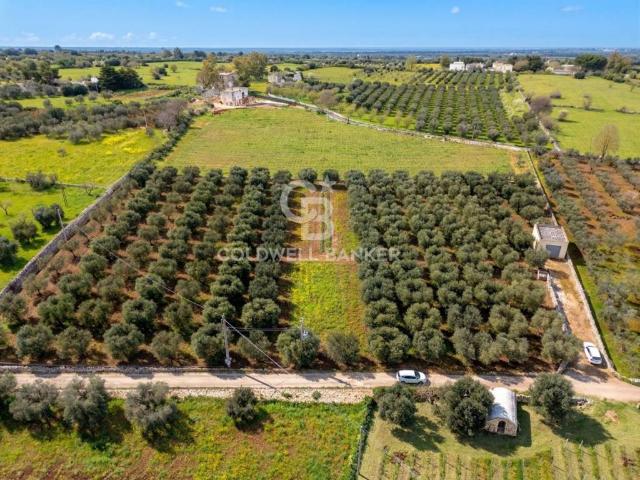 Terreno in vendita a Borgo Rurale Pascarosa, Puglia