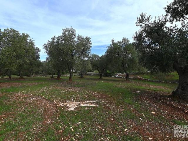 Terreno in vendita a Borgo Rurale Pascarosa, Puglia