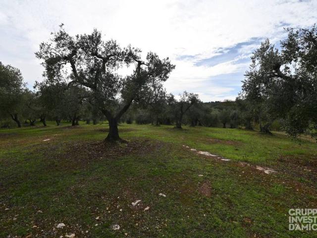Terreno in vendita a Borgo Rurale Pascarosa, Puglia