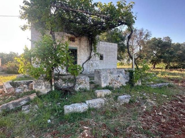 Terreno in vendita a Puglia, Brindisi