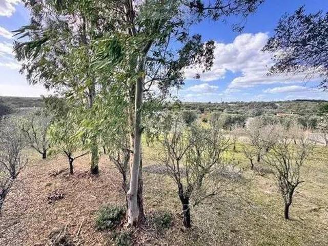 Terreno in vendita a Ostuni, Brindisi