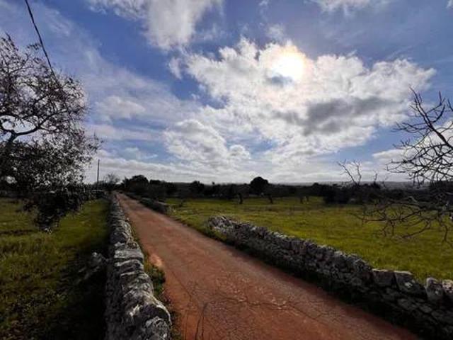 Terreno in vendita a Puglia, Brindisi