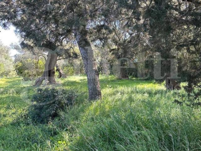 Terreno in vendita a Puglia, Brindisi