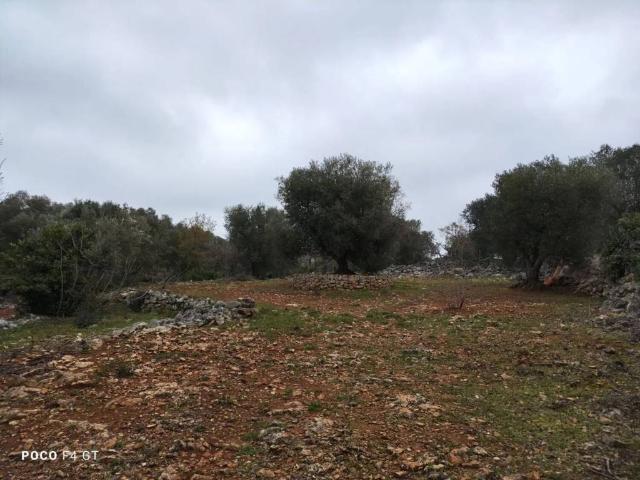 Terreno in vendita a Puglia, Brindisi