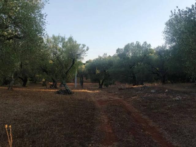 Terreno in vendita a Puglia, Brindisi