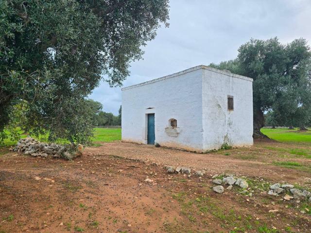 Terreno in vendita a Ostuni, Brindisi