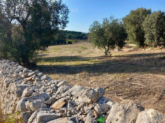Terreno in vendita a Puglia, Brindisi