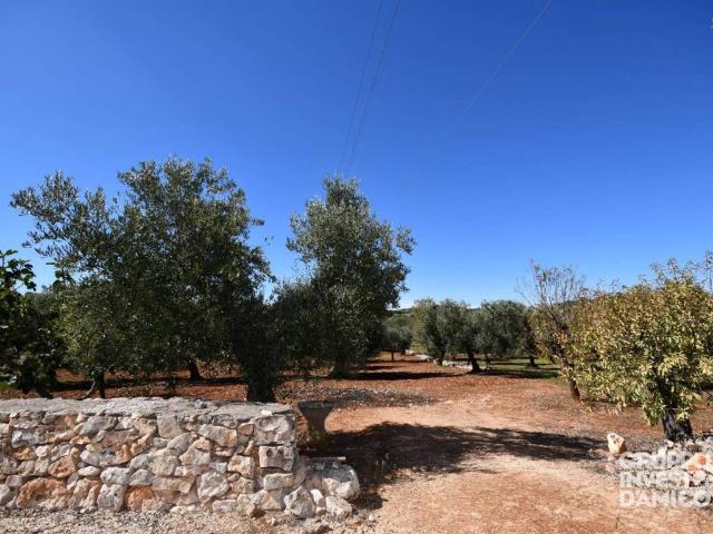 Terreno in vendita a Contrada Badessa, Puglia
