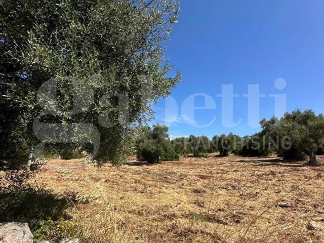 Terreno in vendita a Puglia, Brindisi