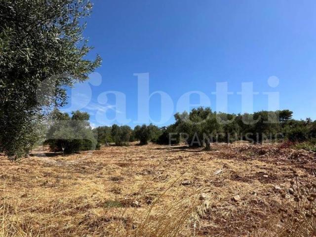 Terreno in vendita a Puglia, Brindisi
