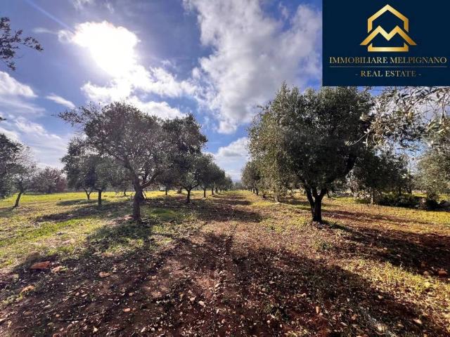 Terreno in vendita a Ostuni, Brindisi