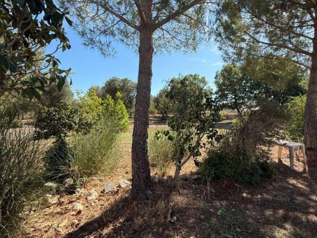 Terreno in vendita a Puglia, Brindisi