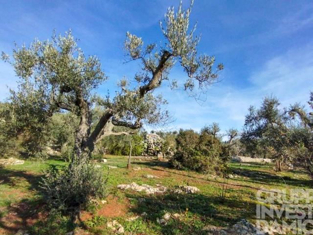 Terreno in vendita a Ostuni, Brindisi