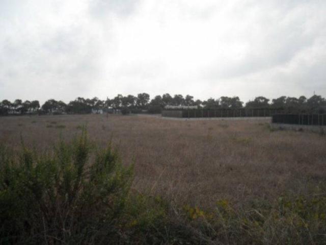 Terreno in vendita a Ostuni, Brindisi
