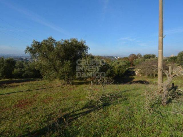 Terreno in vendita a Ostuni, Brindisi