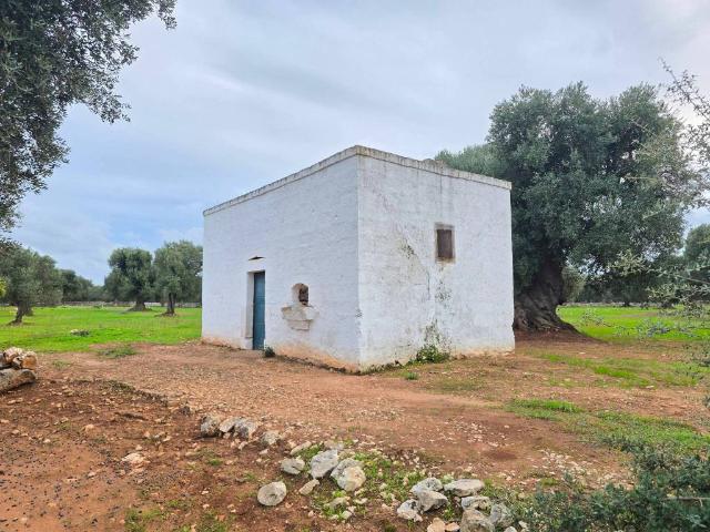 Terreno in vendita a Puglia, Brindisi