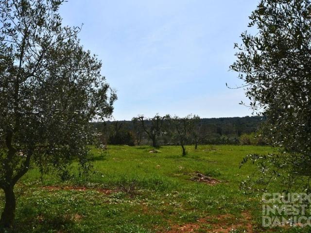 Terreno in vendita a Ostuni, Brindisi