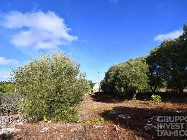 Terreno in vendita a Ostuni, Brindisi