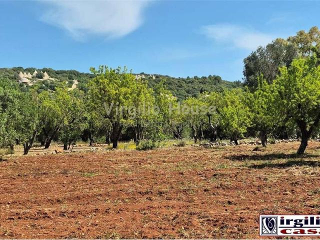 Terreno in vendita a Contrada Badessa, Ostuni