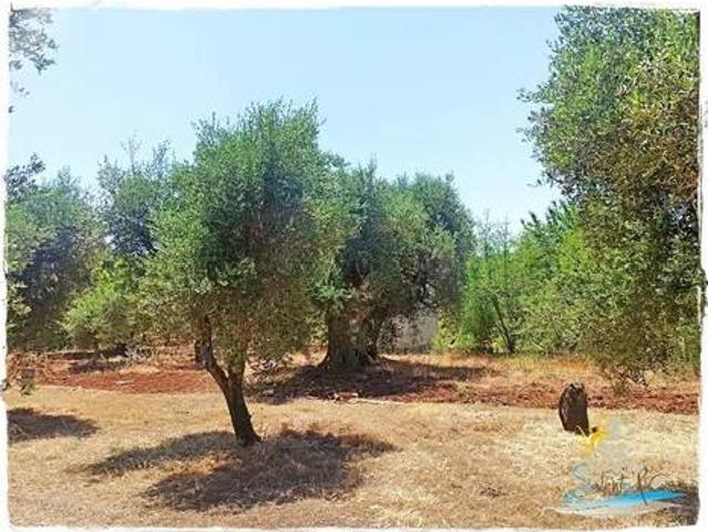 Terreno in vendita a Olitamo, Ostuni