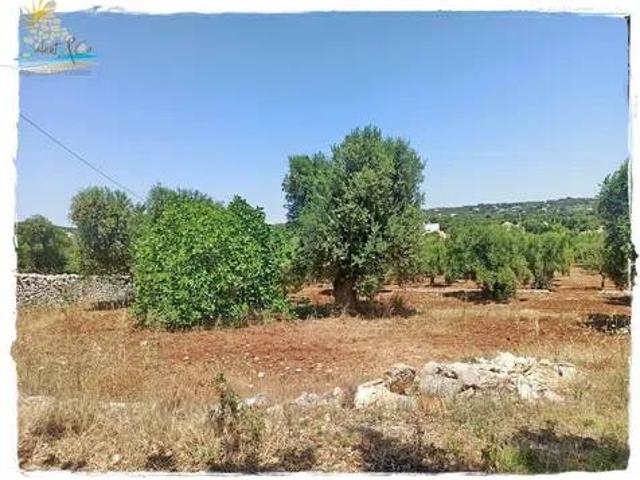 Terreno in vendita a Olitamo, Ostuni