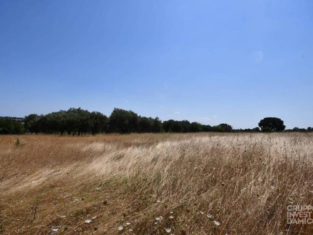 Terreno in vendita a Puglia, Brindisi