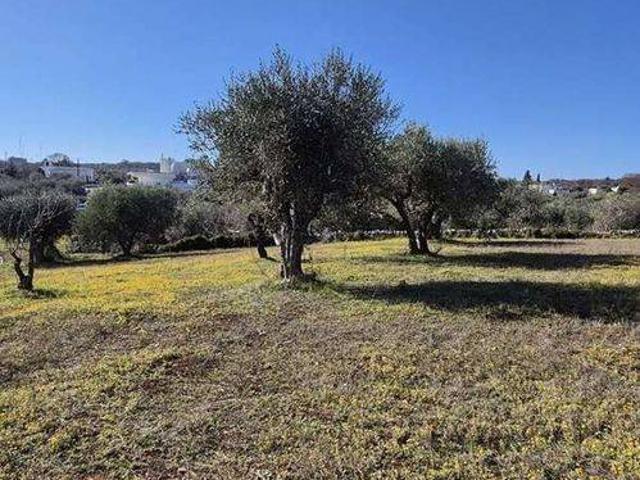 Terreno in vendita a Puglia, Brindisi
