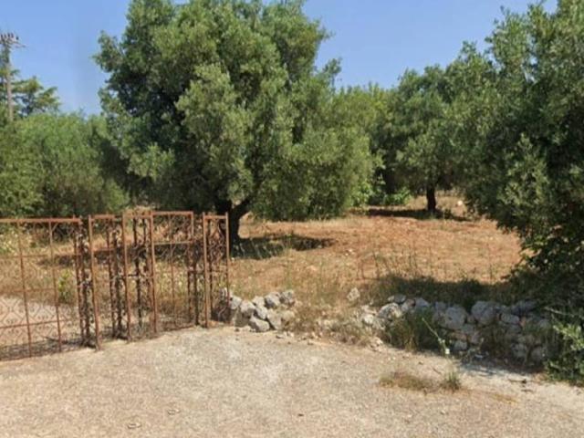 Terreno in vendita a Puglia, Brindisi