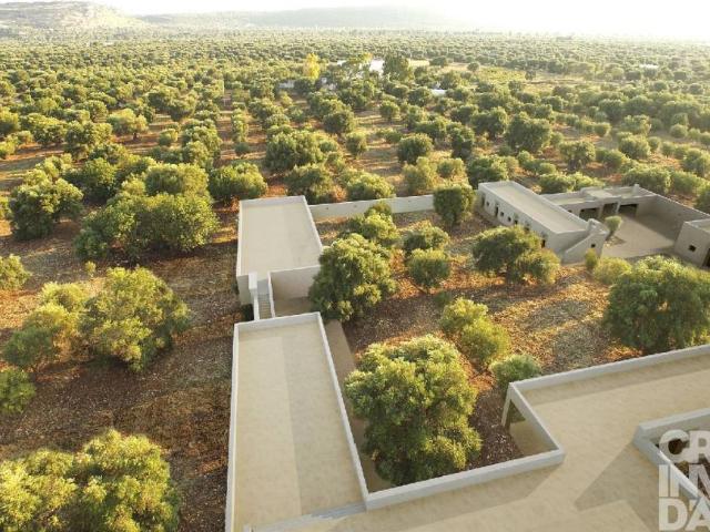 Terreno in vendita a Ostuni, Brindisi