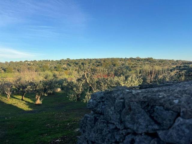 Terreno in vendita a Puglia, Brindisi
