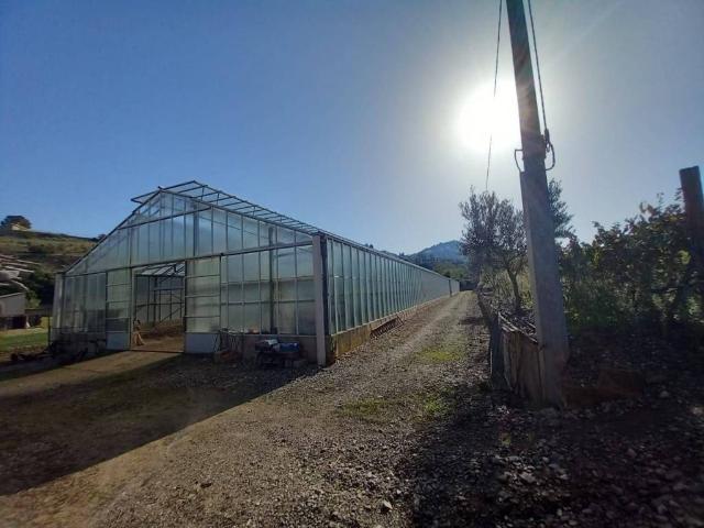 Terreno in vendita a San Nicola, Ozieri