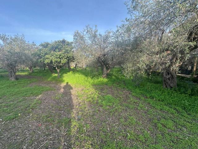 Terreno in vendita a Pace Del Mela, Sicilia