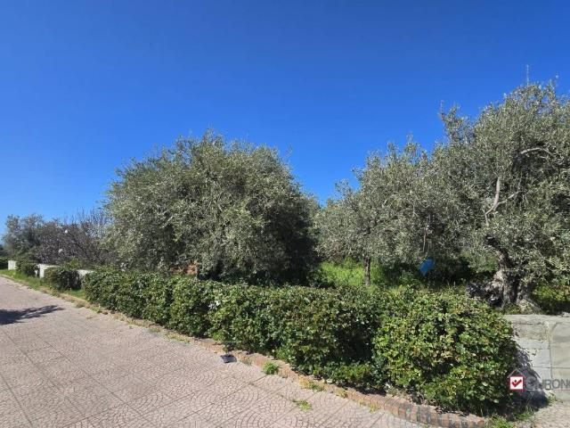 Terreno in vendita a Pace Del Mela, Sicilia